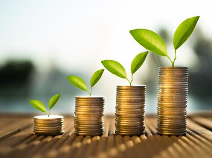 photo illustrating plants and coins growing